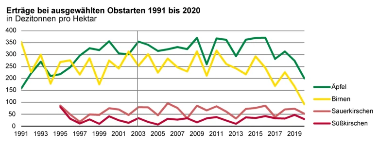 Das Liniendiagramm zeigt die Erträge bei ausgewählten Obstarten 1991 bis 2020. Ein deutlicher Einbruch ist im Jahr 2020 zu erkennen.