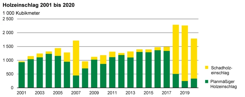 Das Säulendiagramm zeigt den Holzeinschlag 2001 bis 2020 nach planmäßigem Holzeinschlag und Schadholzeinschlag. In den Jahren 2007 und 2018 bis 2020 ist der Schadholzeinschlag überdurchschnittlich viel.