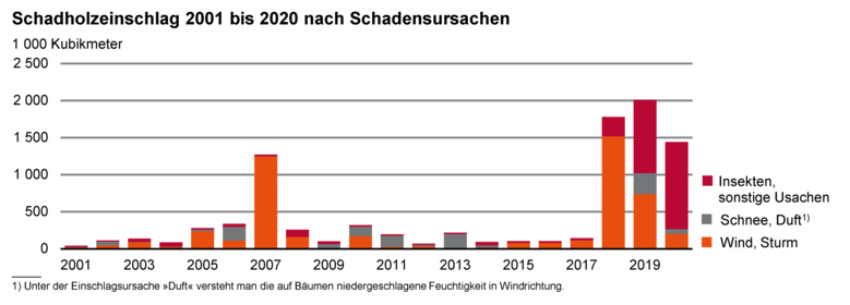 Säulendiagramm zeigt den Schadholzeinschlag 2001 bis 2020 nach Schadensursachen