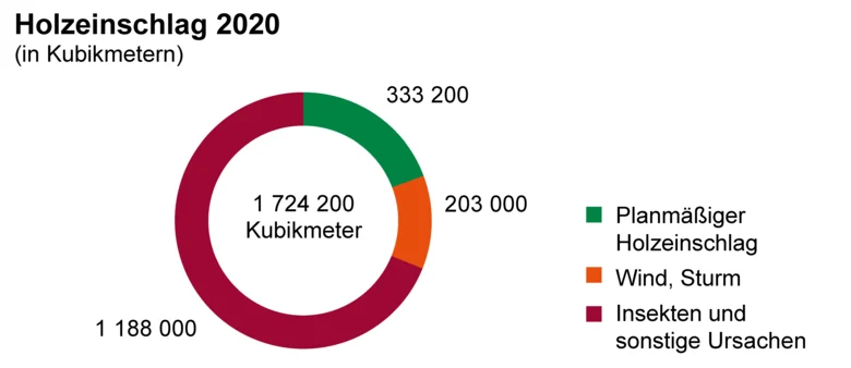 Ringdiagramm zeigt den Holzeinschlag 2020 nach Ursachen. den größten Anteil haben "Insekten und sonstige Ursachen".